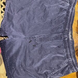 American Eagle Outfitters Dark Blue Flex Shorts